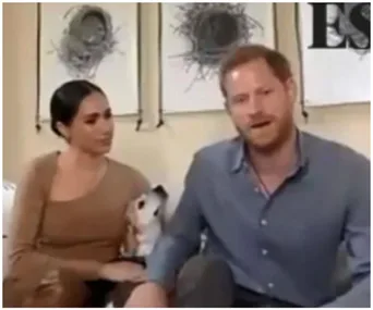 Prince Harry and Meghan Markle sitting with their beagle indoors, with artwork in the background.