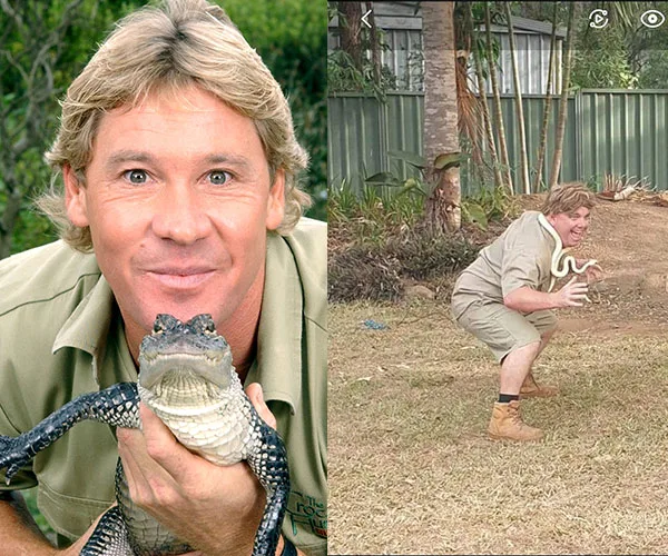 Man resembling Steve Irwin holding a crocodile on the left side and handling a snake on the right side in a backyard setting.