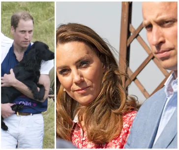 A person holds a black dog outdoors; another image shows two people standing closely, looking into the distance.