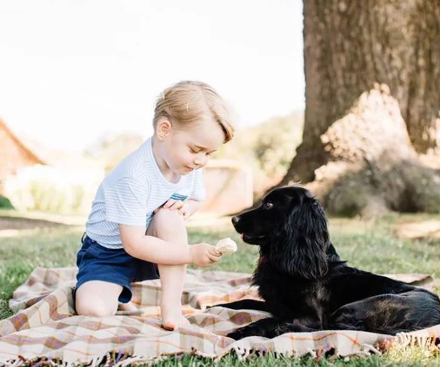 Young child offers an ice cream cone to a black dog while sitting on a picnic blanket in a sunny park.