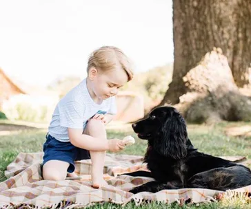 Young child offers an ice cream cone to a black dog while sitting on a picnic blanket in a sunny park.