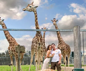 Couple smiling in front of giraffes at Mogo Zoo with a clear sky background.