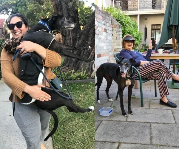 Two images: left shows a woman joyfully holding a greyhound; right shows a greyhound standing beside a woman seated outdoors.