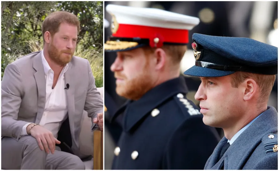 Prince Harry in interview setting, and Princes Harry and William in military attire at formal event.