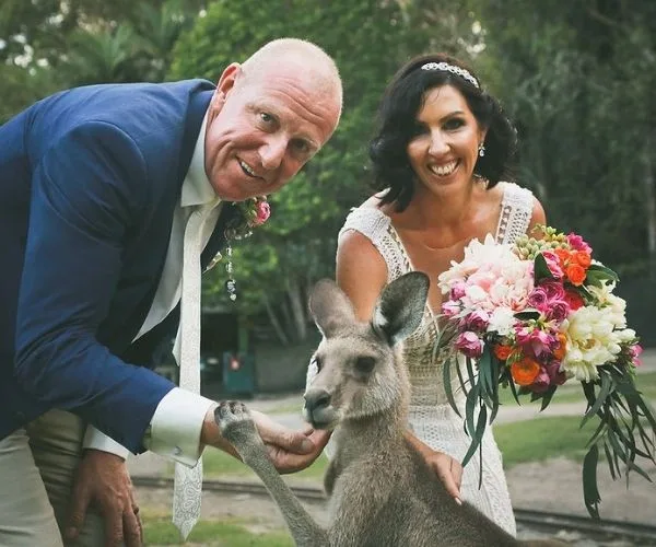 "Couple in wedding attire posing with a kangaroo, bride holding a bouquet, in an outdoor setting."