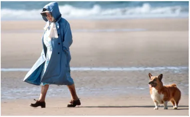 Emotional news for The Queen after one of her beloved dogs dies