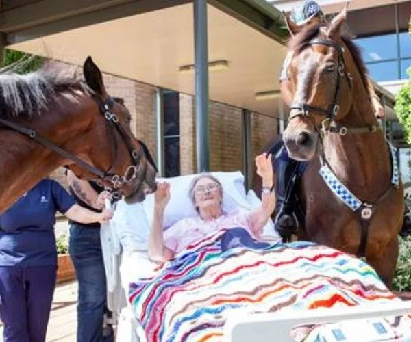 Elderly woman in hospital bed smiling and reaching towards two horses, surrounded by caregivers outdoors.