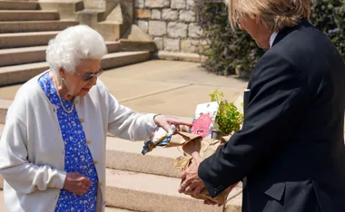 An elderly woman in white cardigan receives a rose plant in a pot wrapped in paper from a man in a suit outdoors.