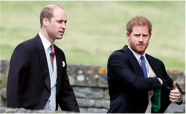 Two men in formal suits walking outdoors, on a grassy background. 