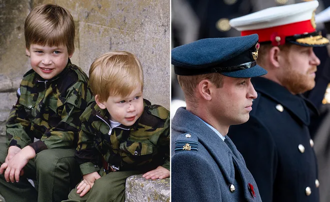 Prince William, Prince Harry