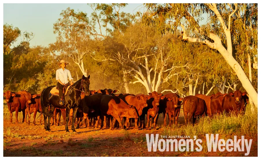 Person on horseback herding cattle in sunny, wooded landscape, with "Women's Weekly" logo at bottom right.