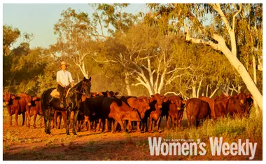 Person on horseback herding cattle in sunny, wooded landscape, with "Women's Weekly" logo at bottom right.