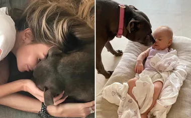A woman cuddles with a dog; the same dog sniffs a baby on a cushioned surface.