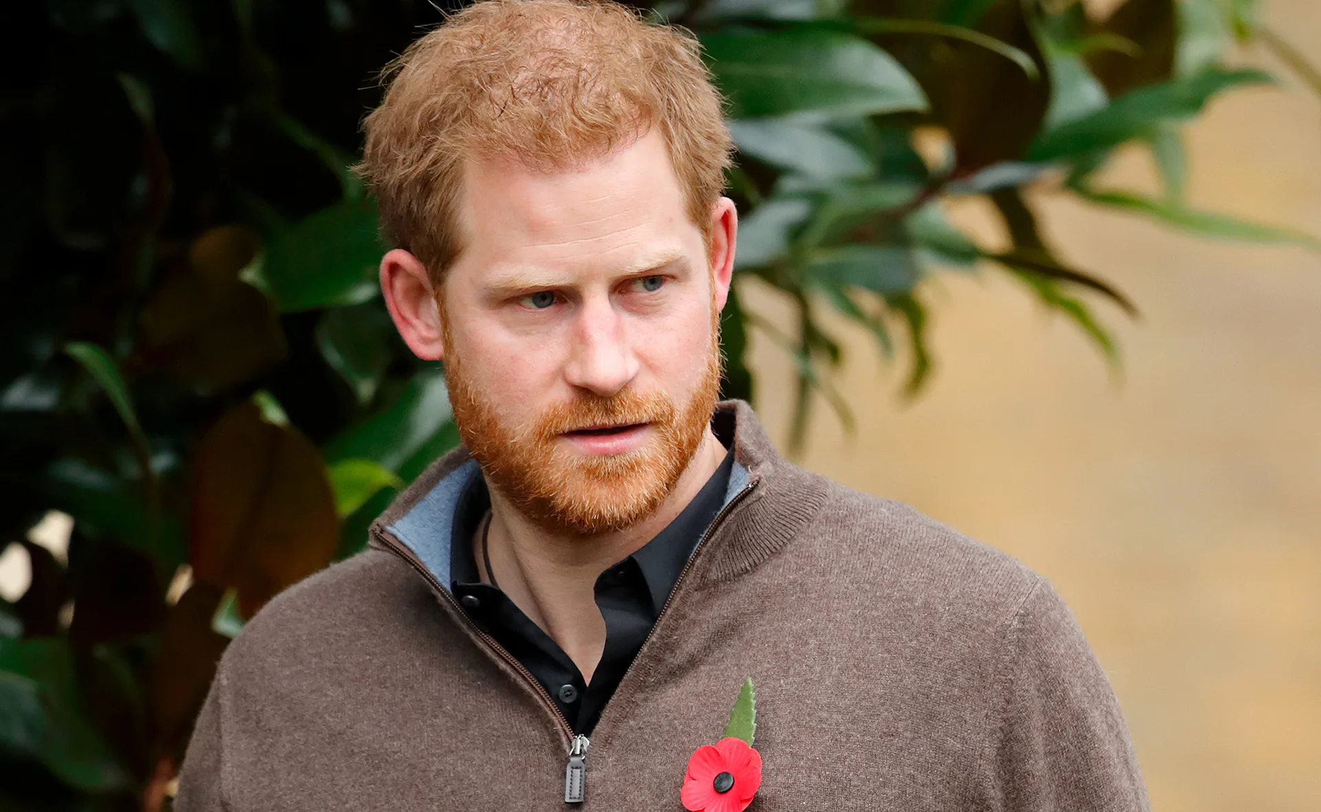A man with red hair and a beard, wearing a brown sweater with a red poppy pin, stands outdoors with greenery behind him.