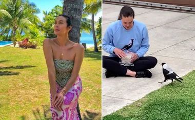 A woman sits on grass by palm trees; another, in a magpie sweater, feeds magpies on a paved surface.