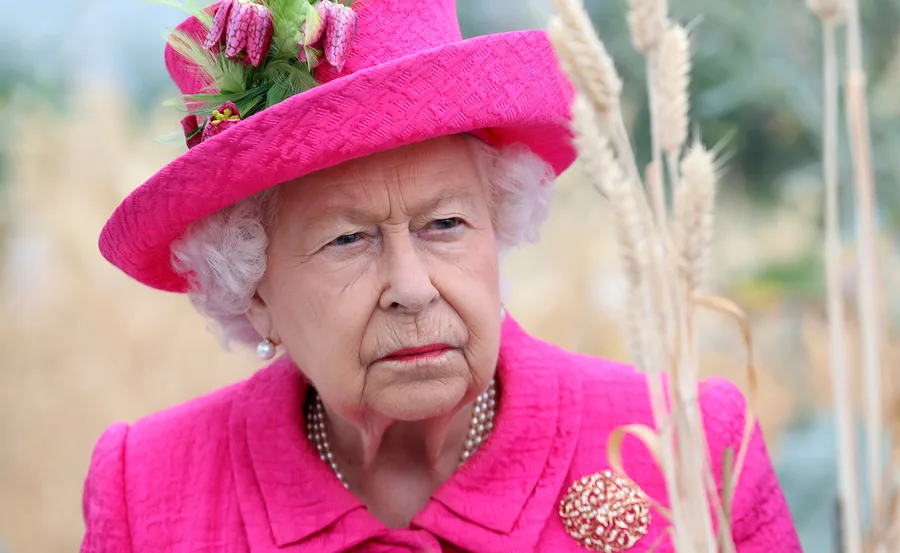 A woman in a bright pink outfit and matching hat adorned with flowers, standing outdoors among tall grasses.