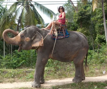 A woman riding an elephant through a tropical setting with palm trees in the background.