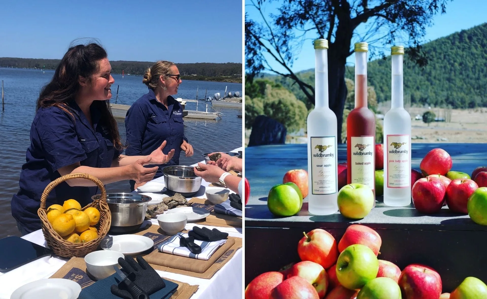 Women discussing food by a lake and bottles of Wildbrumby apple spirits with apples on a table outdoors.