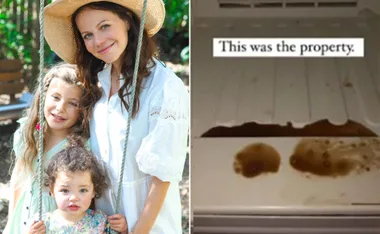 "Tammin Sursok with two kids on a swing; a dirty spot in a fridge with text 'This was the property.'"