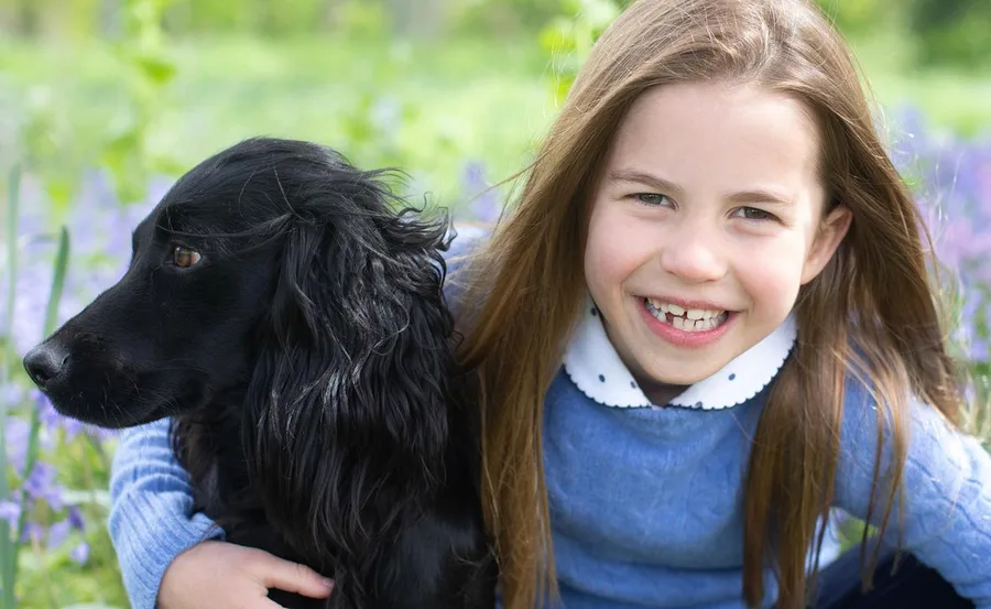 Girl smiling with long hair, wearing a blue sweater, hugging a black dog in a field of flowers.