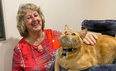 A woman in a red shirt smiles while petting an orange tabby cat sitting on a cat tree.
