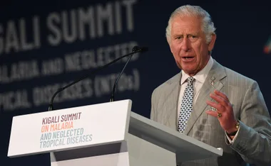 Prince Charles speaks at the Kigali Summit on Malaria and Neglected Tropical Diseases, wearing a gray suit.