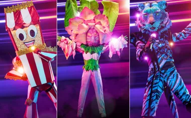 Three colorful costumes from The Masked Singer 2022: a popcorn box, a flower, and a blue tiger with a microphone.