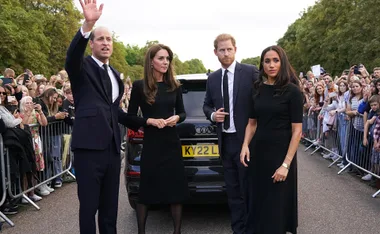 EXCLUSIVE: Royal family body language expert claims William and Kate “don’t want to be associated” with Meghan and Harry