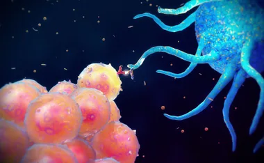 Efficient and easy ways to boost your immune system