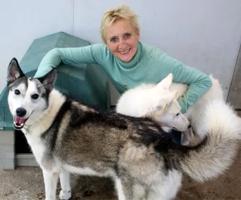 Meet the lady who took in 30 rescued huskies