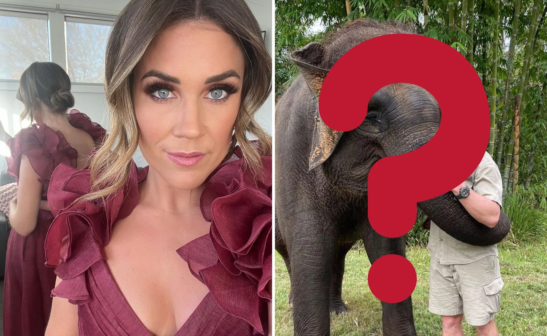 Woman in maroon dress with ruffled shoulders, elephant photo with man's face obscured by question mark.