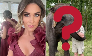 Woman in maroon dress with ruffled shoulders, elephant photo with man's face obscured by question mark.