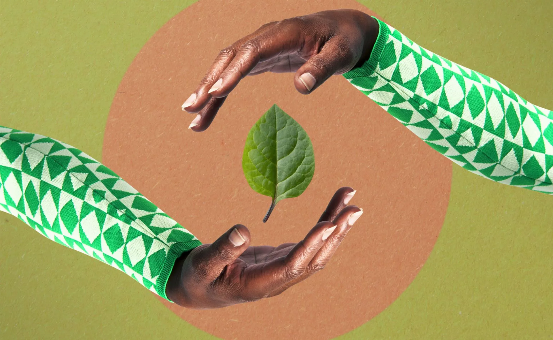Hands in green patterned sleeves encircle a single leaf on a textured circular background.