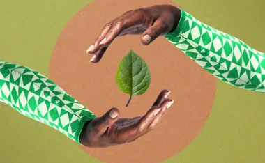 Hands in green patterned sleeves encircle a single leaf on a textured circular background.