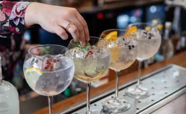 Hand garnishing gin and tonic cocktails with fruits and botanicals on a bar.