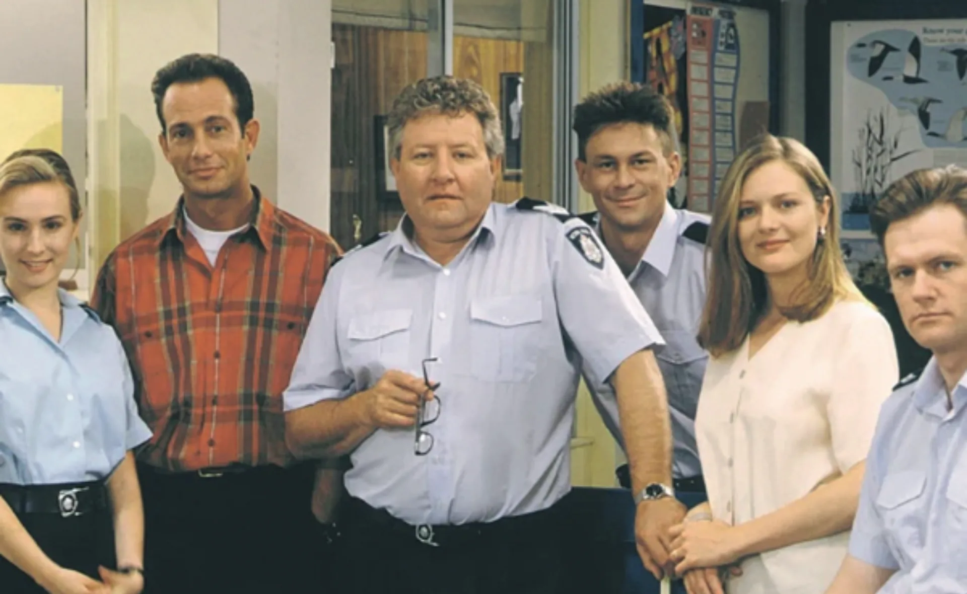 blue heelers