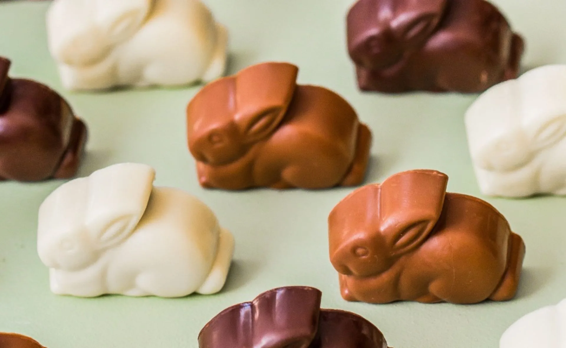 Chocolate bunnies in white, milk, and dark varieties on a light green surface.