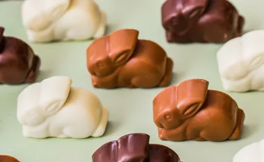 Chocolate bunnies in white, milk, and dark varieties on a light green surface.