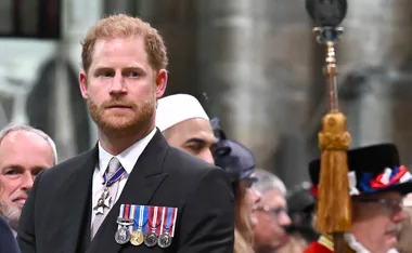 Prince Harry and Meghan beg the King: ‘Let us come back’