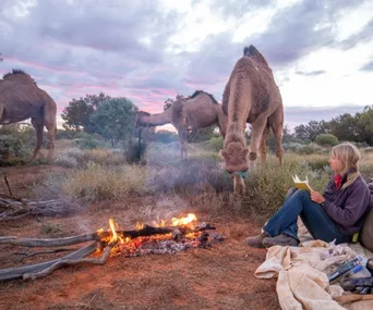 Person reading by a campfire with camels grazing in a desert landscape under a colorful sunset sky.