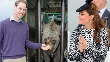 Prince George's nursery theme is totally wild!