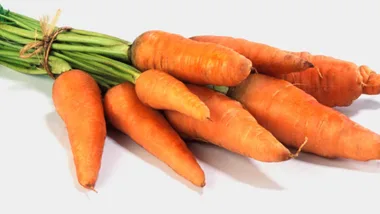 Bunch of fresh orange carrots with green stems on a white background.