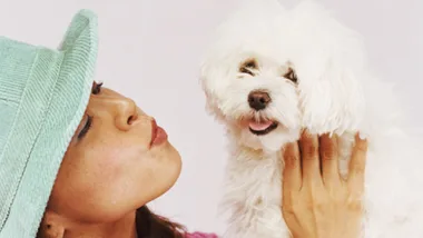 Person in a green hat holding a fluffy white dog, both looking content and close together.