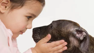 A young child gently holding the face of a brown puppy, both gazing into each other's eyes.