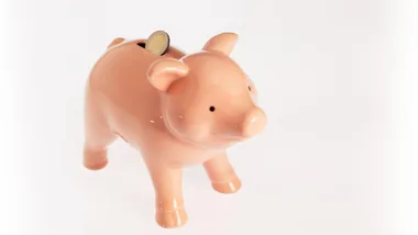 Pink piggy bank with a coin inserted, symbolizing savings and financial habits.