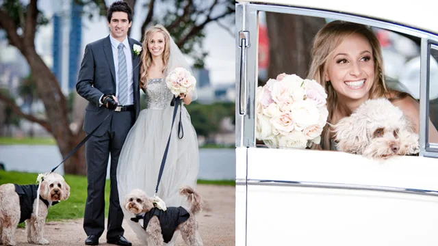 Bondi vet Lisa: I couldn't marry without my boys