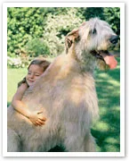A child hugging a large, light-colored dog outdoors on a sunny day, with greenery in the background.