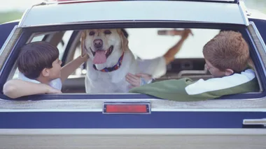 Two kids and a smiling dog sitting in the back of a car seen through the rear window.