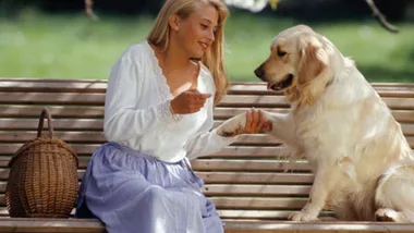 A woman in a white blouse and blue skirt shakes a golden retriever's paw while sitting on a bench outdoors.