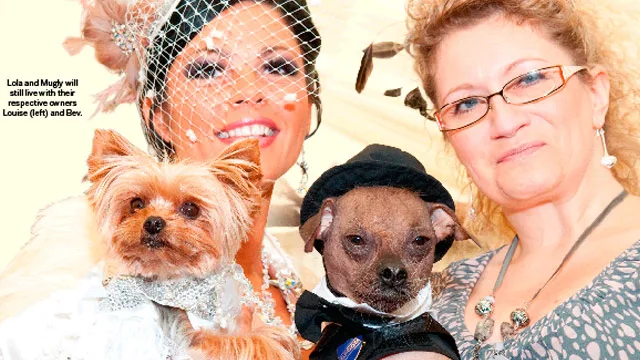 Puppy love: Our pawfect wedding!